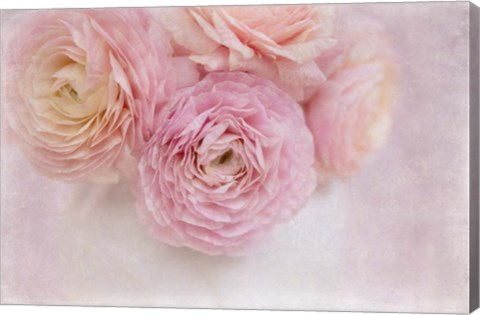 Framed Chique Bouquet Print