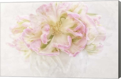 Framed Pink Parrot Tulips Bouquet Print