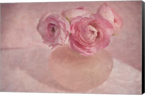 Framed Pink Ranunculus Bouquet Print