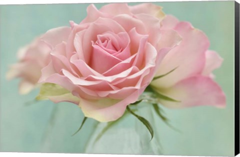 Framed Pink Roses Print