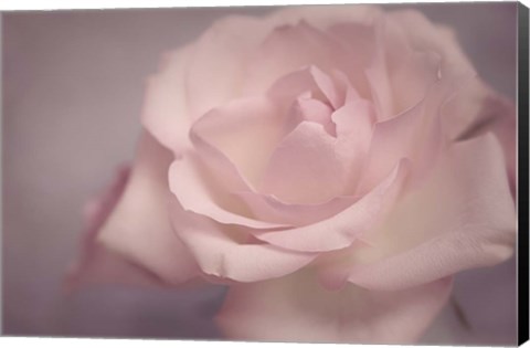 Framed Tenderness Print