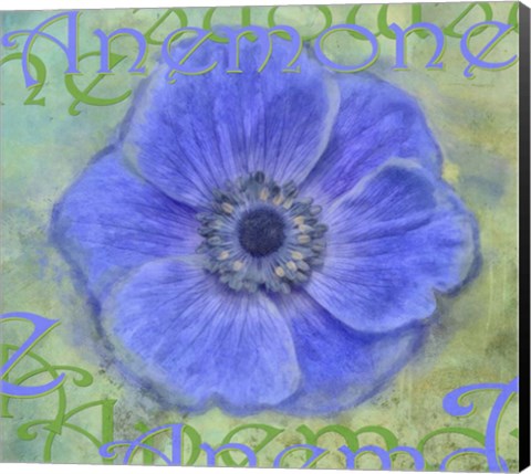 Framed Anemone Print