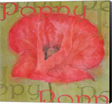 Framed Poppy Print