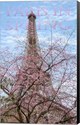 Framed Eiffel Tower with Blossoming Cherry Print