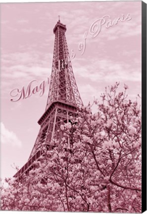 Framed Eiffel Tower with Magnolia Pink Print