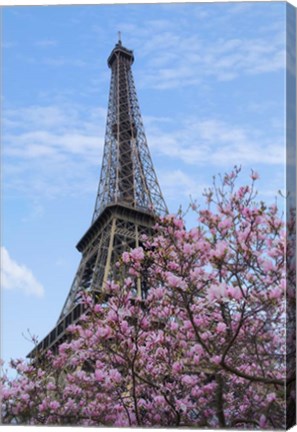 Framed Eiffel Tower with Pink Magnolia Tree Print