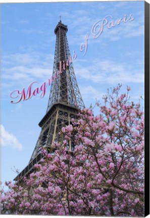 Framed Magnolias of Paris Print