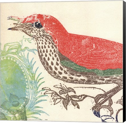 Framed Red Bird Print