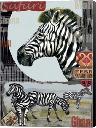Framed Zebra Safari Print