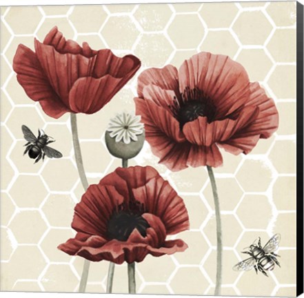 Framed Poppy Buzz II Print