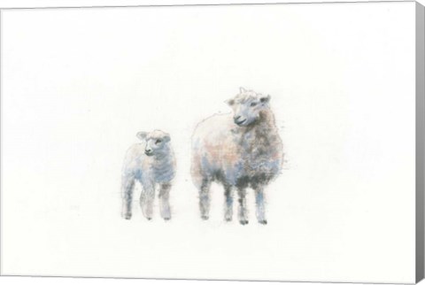 Framed Sheep and Lamb Print