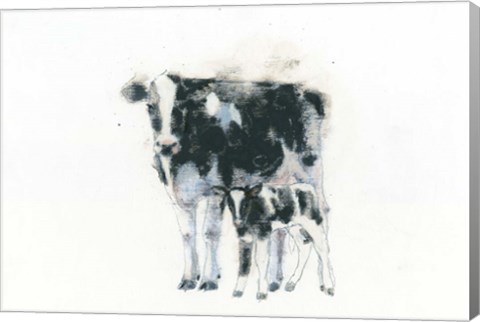 Framed Cow and Calf Print