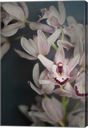 Framed Dark Orchid II Print