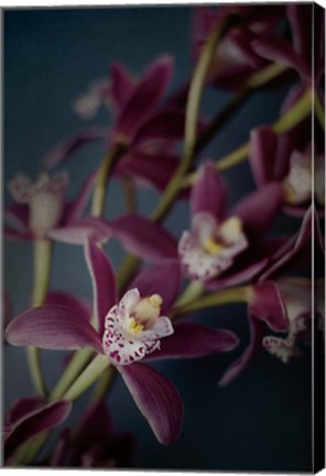 Framed Dark Orchid III Print