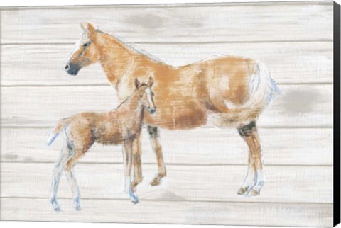 Framed Horse and Colt on Wood Print