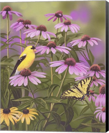Framed Butterfly &amp; Finch Amongst Flowers Print
