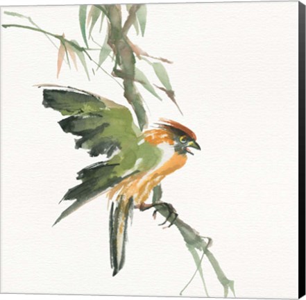 Framed Formosan Firecrest Print