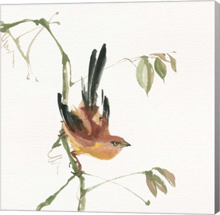 Framed Mountain Bush Warbler Print