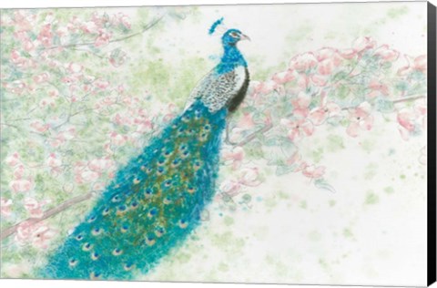 Framed Spring Peacock I Pink Flowers Print