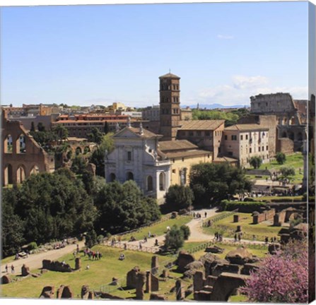 Framed Look from Palatine Hill Francesca Romana Print