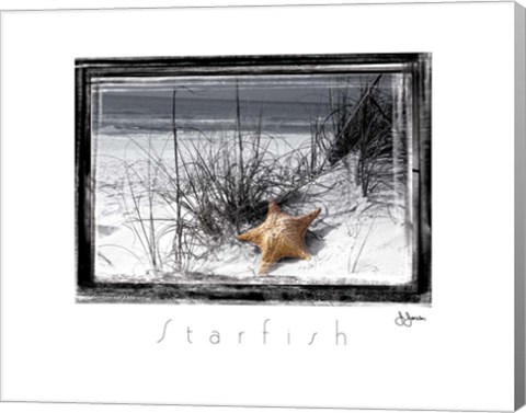 Framed Starfish Print