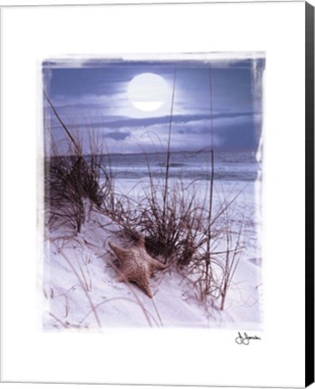 Framed Moonlight Print