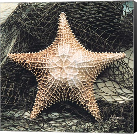 Framed Starfish with Net Print