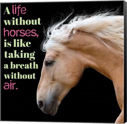 Framed Horse Quote 7 Print