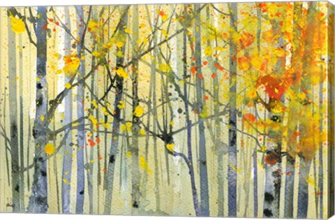 Framed Autumn Birches Print