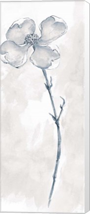 Framed Solitary Dogwood III Gray Print