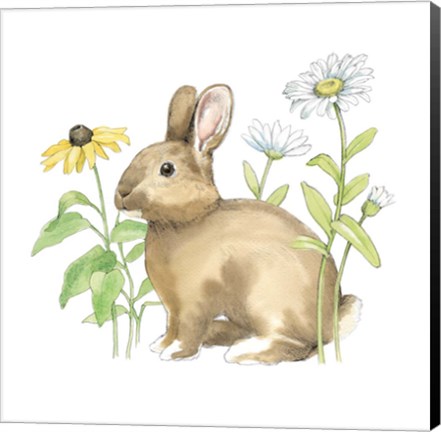 Framed Wildflower Bunnies II Sq Print