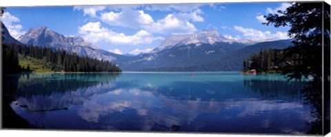 Framed Emerald Lake Reflections, Alberta, Canada Print