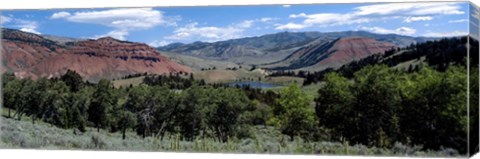 Framed Trees on Red Hills, Bridger Teton National Forest, Wyoming Print