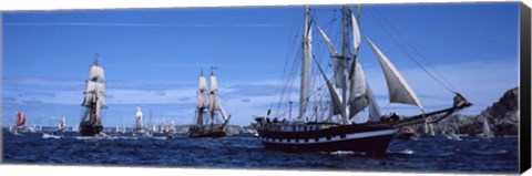 Framed Tall Ships, Brittany, France Print