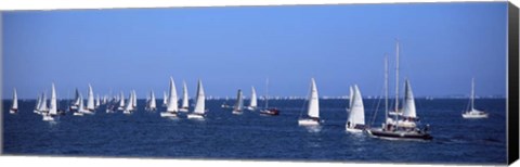 Framed Boats in Regatta, Brittany, France Print