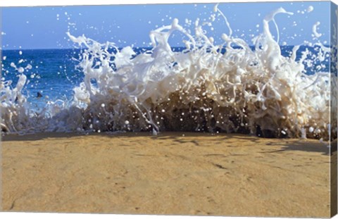 Framed Oahu Beach, Hawaii III Print