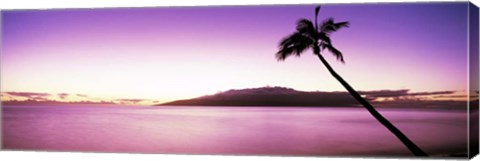 Framed Palm Tree on Purple, Maui, Hawaii Print