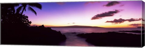 Framed Palm Trees at Dusk, Maui, Hawaii, USA Print