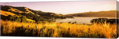 Framed Akaroa Harbour, Banks Peninsula, New Zealand Print