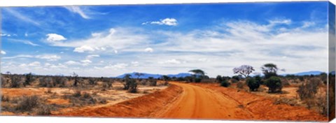 Framed Dirt Road in Tsavo East National Park, Kenya Print