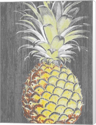 Framed Vibrant Pineapple Splendor II Print