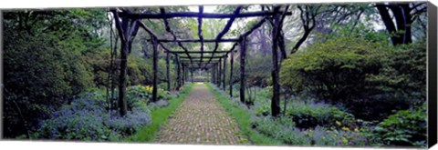 Framed Garden path, Old Westbury Gardens, Long Island Print