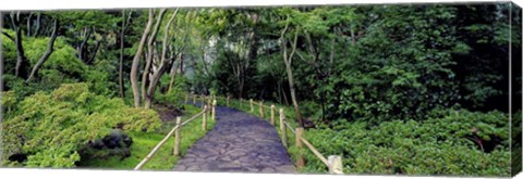 Framed Tea Garden Walkway, San Francisco Botanical Gardens Print