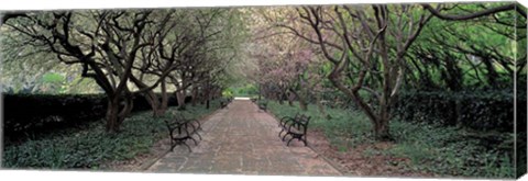 Framed Through Conservatory Garden, Central Park, NYC Print