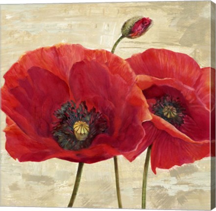 Framed Red Poppies (detail II) Print