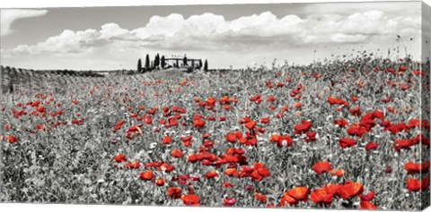 Framed Farm House with Cypresses and Poppies, Tuscany, Italy Print