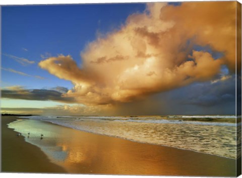 Framed Sunset On The Ocean, New South Wales, Australia Print