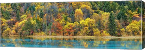 Framed Lake And Forest In Autumn, China Print