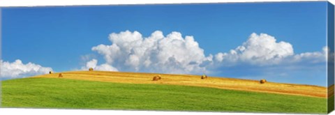 Framed Corn Field Harvested, Tuscany, Italy Print