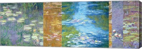 Framed Waterlilies II Print